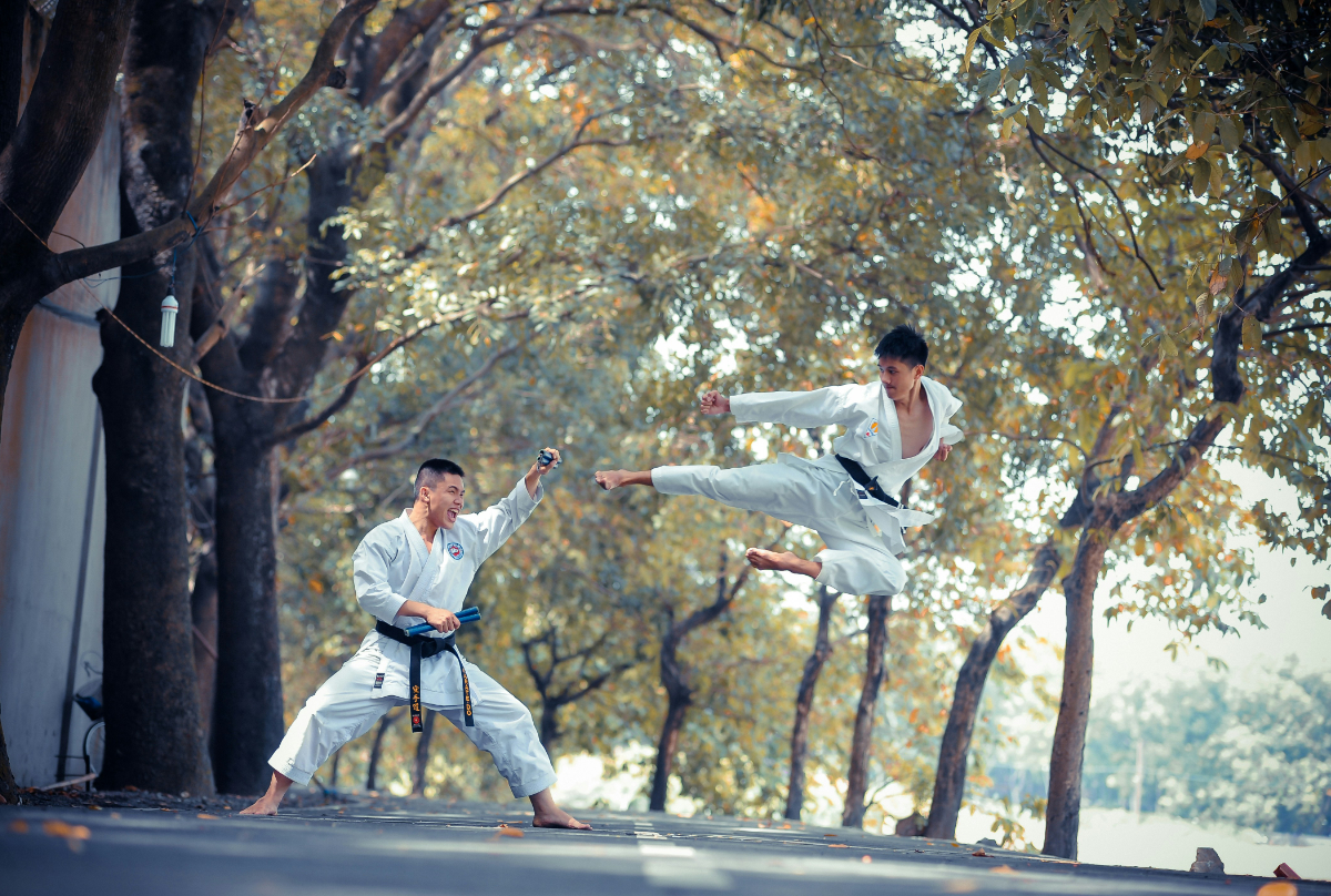 Karate geschiedenis, banden en technieken