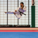 taekwondo geschiedenis stijlen